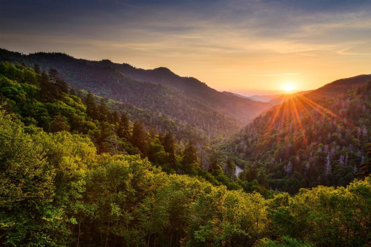 Bear Cove Falls Pigeon Forge Luaran gambar