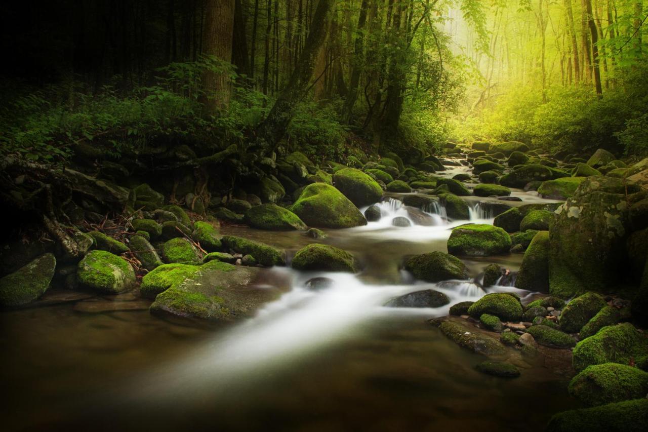 Bear Cove Falls Pigeon Forge Luaran gambar