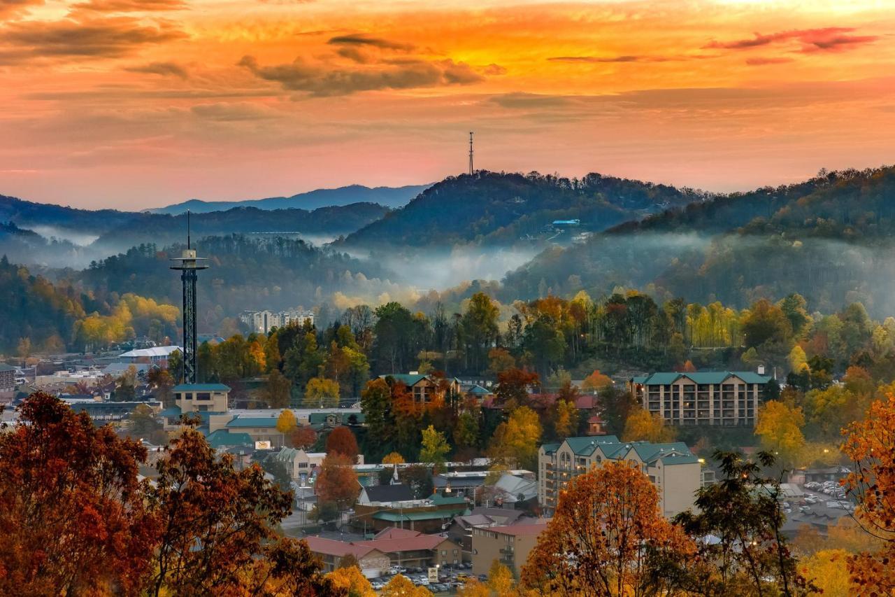 Bear Cove Falls Pigeon Forge Luaran gambar