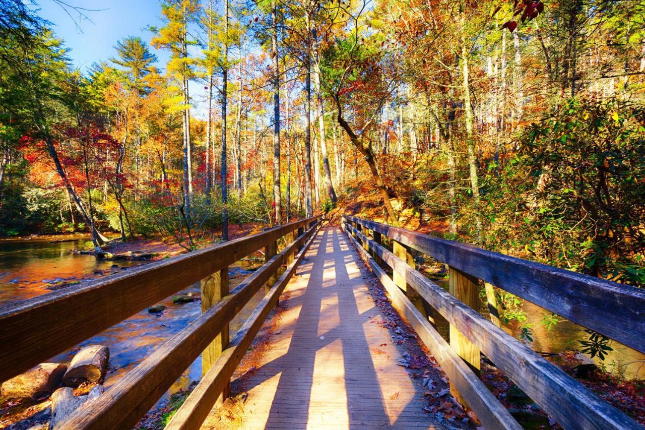 Bear Cove Falls Pigeon Forge Luaran gambar